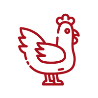 Geflügelwirtschaft - Wolter Agrar