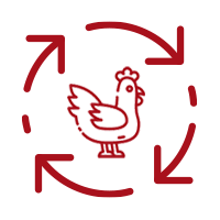 Geflügel-Dienstleistungen - Seppenhagen GmbH Ahlen