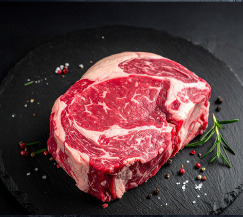 Beinscheibe Beinscheibe